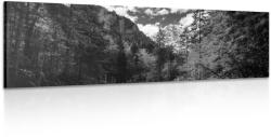 Dovido Tablou peisaj carpatin alb-negru - 135x45