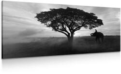 Dovido Tablou elefant la răsăritul de soare în design alb-negru - 60x30