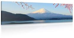 Dovido Tablou vedere la muntele Fuji - 135x45
