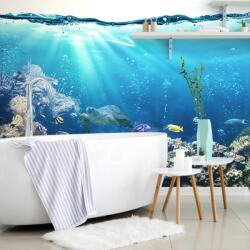 Dovido Tapet pești tropicale - 245x270