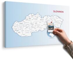 Dovido Tablou pe plută hartă a Republicii Slovace - 150x100 metallic