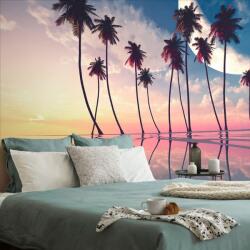 Dovido Tapet autoadeziv apusde soare deasupra palmierilor tropicali - 441x297