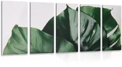Dovido Tablou 5-piese frunză monstery - 100x50