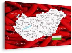 Dovido Tablou hartă a Ungariei cu fundal specific - 40x30