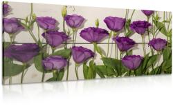 Dovido Tablou flori violete frumoase - 100x50