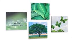 Dovido Set tablouri natura plină de verdeață - 4x 40x40