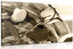 Dovido Tablou trandafir în design sepia - 30x20