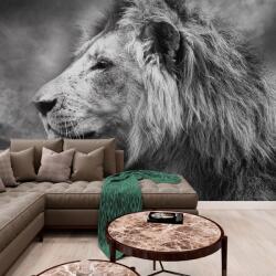 Dovido Tapet leul african în design alb-negru - 294x270