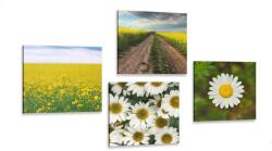 Dovido Set tablouri luncă plină de flori - 4x 60x60