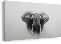 Dovido Tablou elefant măreț în ceață - 40x30