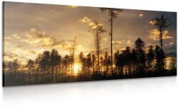 Dovido Tablou seara devreme în pădure - 120x60