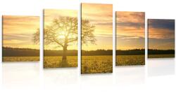 Dovido Tablou 5-piese copacul singuratic - 150x75