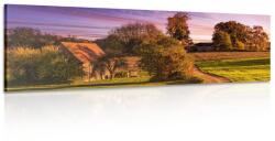 Dovido Tablou peisaj rural - 120x40