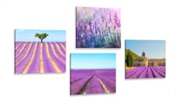 Dovido Set tablouri câmp de lavandă - 4x 60x60