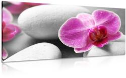 Dovido Tablou flori de orhidee pe pietre albe - 140x70