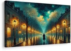 Dovido Tablou plimbare nocturnă sub stele - 90x60