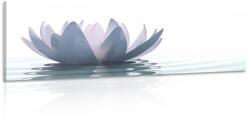 Dovido Tablou floare de lotus - 90x30