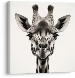 Dovido Tablou privirea girafei - 70x70