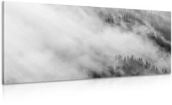 Dovido Tablou pădure în ceață în design alb-negru - 120x60