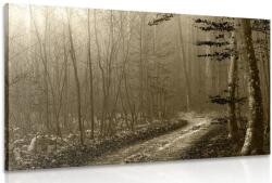 Dovido Tablou cărare sepia spre pădure - 150x100