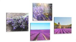 Dovido Set tablouri lavandă frumoasă - 4x 60x60