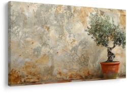 Dovido Tablou măslin de interior lângă perete - 60x40