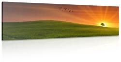 Dovido Tablou copac într-o pajiște - 135x45