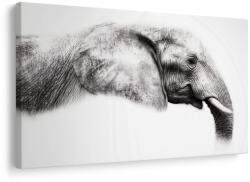 Dovido Tablou profil elegant de elefant - 90x60