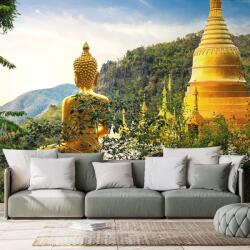 Dovido Tapet vedere la Buddha de aur - 294x198