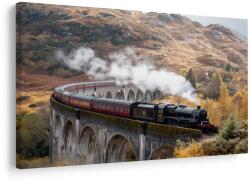Dovido Tablou tren cu aburi istoric - 30x20