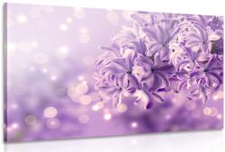Dovido Tablou floare violeteă de liliac - 40x30