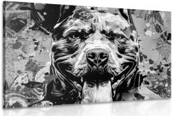 Dovido Tablou ilustrația câinelui colorată în design alb-negru - 40x30