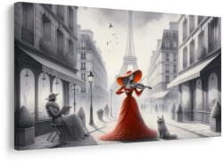 Dovido Tablou stradă pariziană cu violonistă - 40x30