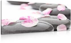 Dovido Tablou pietre de wellness cu petale - 80x40