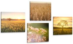 Dovido Set tablouri câmp la apus de soare - 4x 60x60