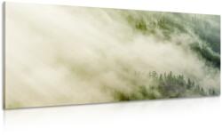 Dovido Tablou pădure în ceață - 80x40