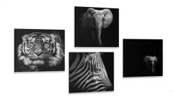 Dovido Set tablouri animale în stilul alb-negru - 4x 60x60