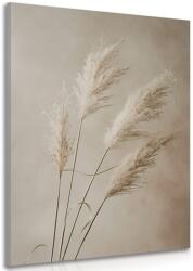 Dovido Tablou iarba uscată de pampas - 20x30