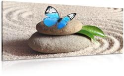 Dovido Tablou fluture albastru pe piatră Zen - 140x70