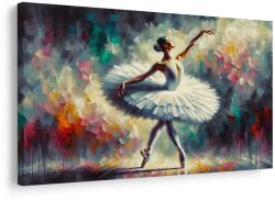 Dovido Tablou balerină în rochie albă - 90x60