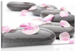 Dovido Tablou petale pe pietre de wellness - 40x30