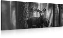 Dovido Tablou cerb în pădure în design alb-negru - 100x50
