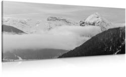 Dovido Tablou natura iarna alb-negru - 120x60
