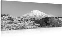 Dovido Tablou muntele Fuji în design alb-negru - 140x70