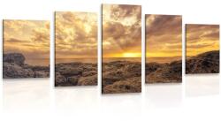 Dovido Tablou 5-piese pietre marine - 200x100