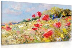 Dovido Tablou maci pictați pe o pajiște - 60x40