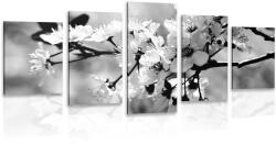 Dovido Tablou 5-piese floare de cireș în design alb-negru - 200x100