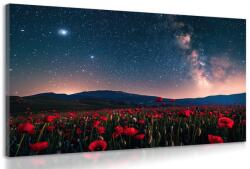 Dovido Tablou luncă de maci sălbatici sub stele - 40x30