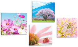 Dovido Set tablouri în brațele naturii - 4x 60x60
