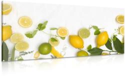 Dovido Tablou mix de fructe citrice - 200x100